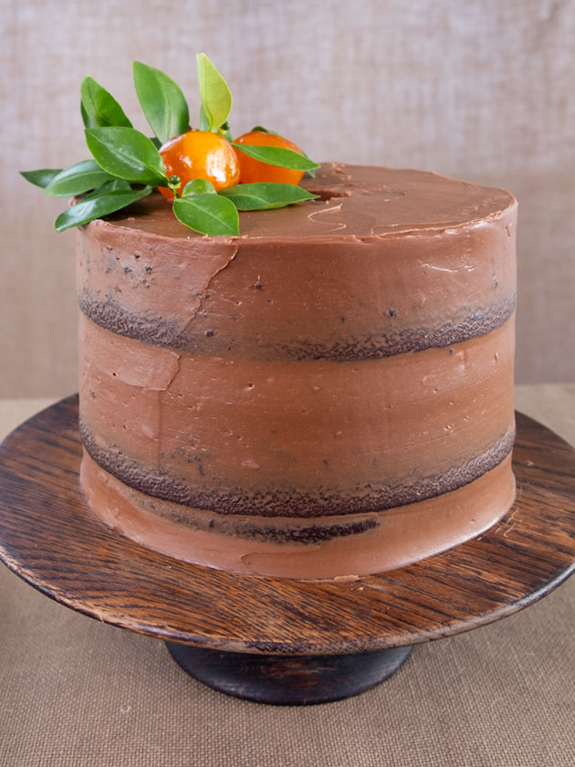 FESTIVE DESSERT CHRISTMAS SPICED CHOCOLATE CAKE