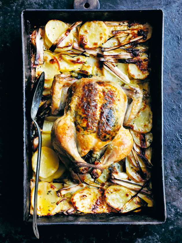 CROWD PLEASER ROAST GARLIC CHICKEN ON POTATO AND LEEK GRATIN 