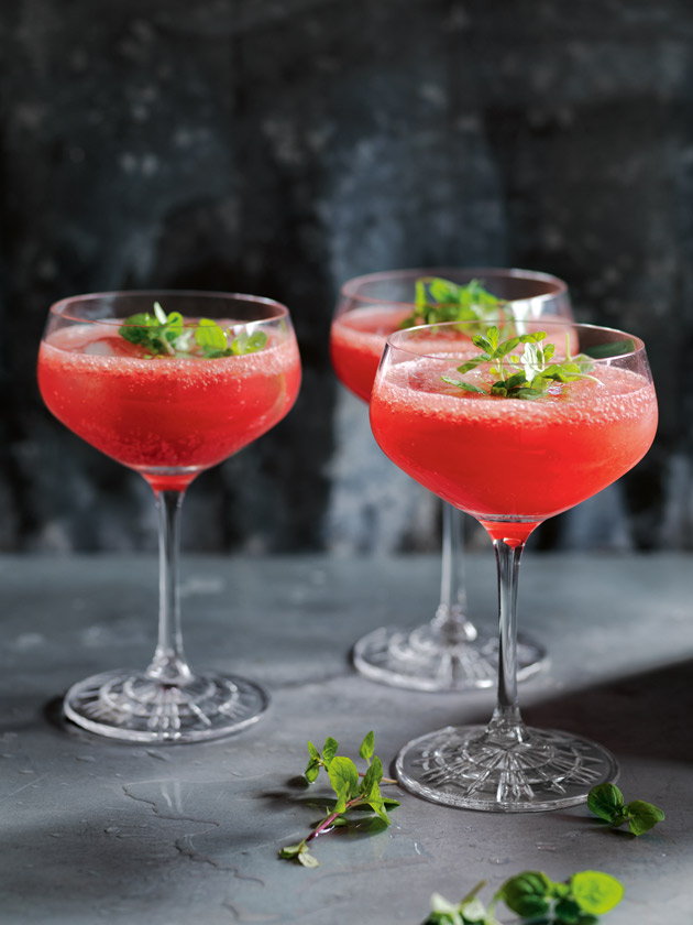 Watermelon and mint cooler 