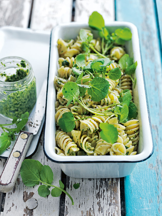 Watercress And Walnut Pesto Pasta Salad  Donna Hay