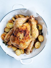 preserved lemon and oregano roast rooster
