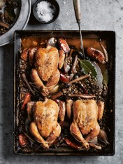 roasted spatchcocks with port, mushrooms and lentils