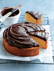 vanilla pound cake with chocolate icing