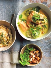 salmon and cashew curry