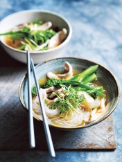 asian-vogue rooster noodle soup