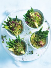 avocado, green bean and quinoa salad