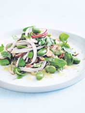 chicken, broad bean and quinoa salad