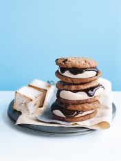 chocolate and oat s’mores