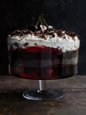chocolate and cherry cranberry jelly trifle  Red Wine Gravy chocolate and cherry cranberry jelly trifle