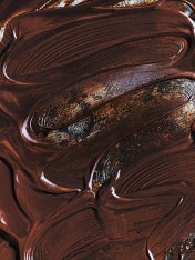 dark chocolate ganache