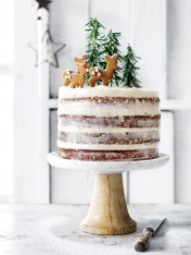 hazelnut forest cake with cream cheese icing