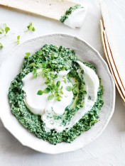 minted spinach dip with yoghurt