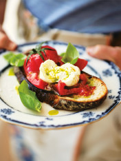poached tomato bruschetta with basil oil