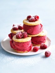 raspberry sorbet ice-cream sandwiches