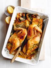 roast chicken with garlic sourdough toasts