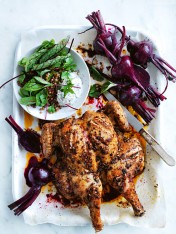 roast engaging rooster with beetroot, lentils and herbed yoghurt