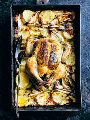 roast garlic chicken on potato and leek gratin