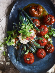 roasted tomato and bean salad with burratta and tomato dressing  Chilli And Lime Fish Cakes With Cucumber Salad roasted tomato and bean salad with burratta and tomato dressing