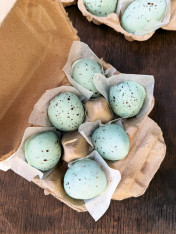 Speckled brownie eggs