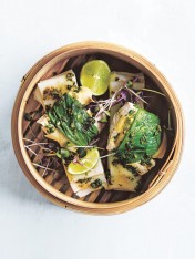 steamed ginger fish with rice noodles and herbed gremolata