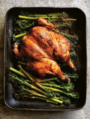 Sticky miso and sesame-roasted chicken
