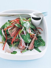 thai pork salad  Lobster Salad With Tarragon Dressing thai beef salad