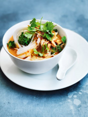 thai red chicken curry noodle soup