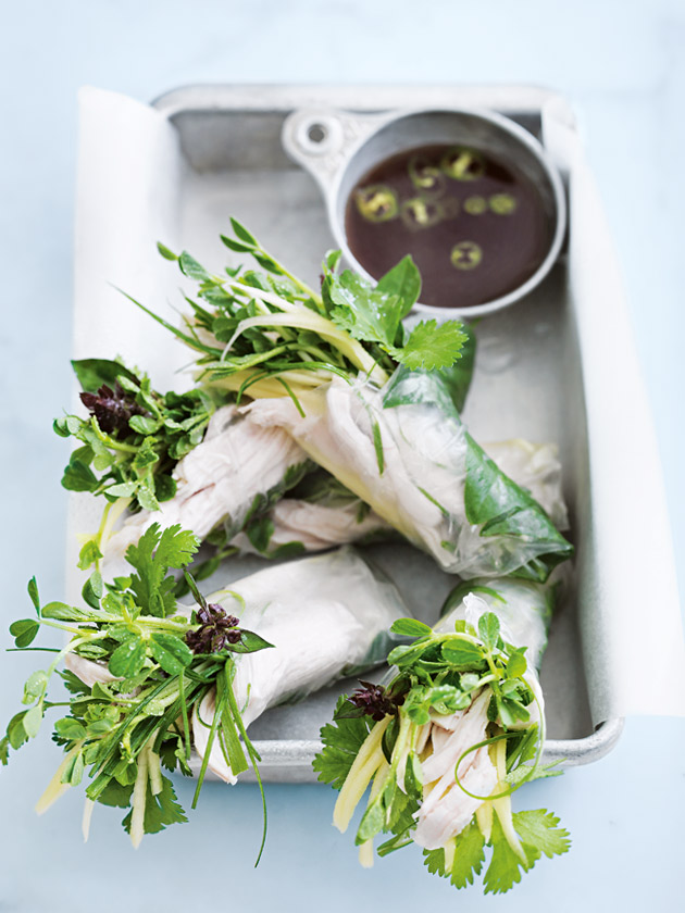 Rice paper wraps with duck and a green herb sauce - delectabilia