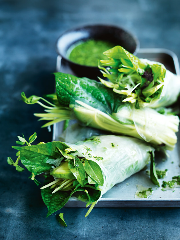 Rice paper wraps with duck and a green herb sauce - delectabilia