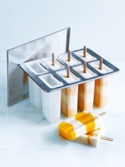 Popsicle Mould - includes 16 popsicle sticks