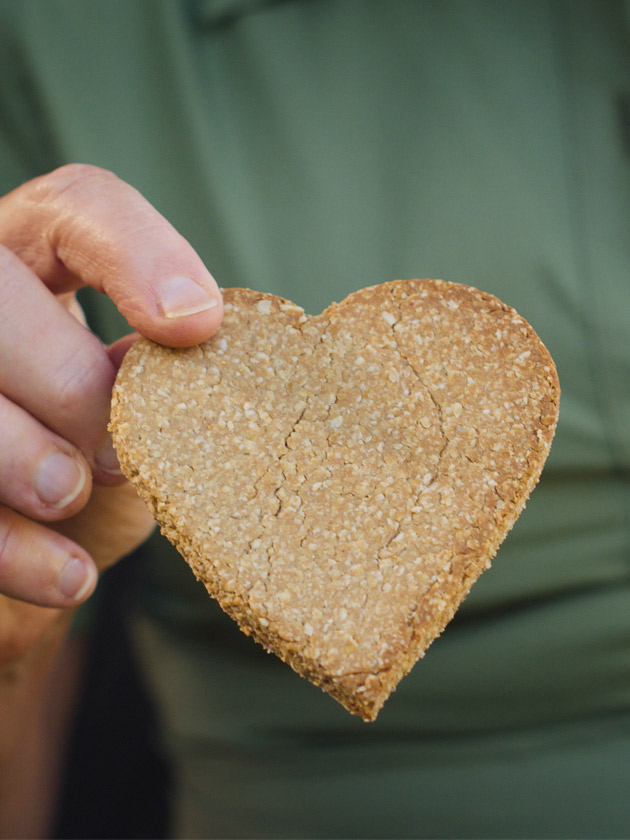 SOMETHING FOR EVERYONE OATY PEANUT BUTTER DOG TREATS